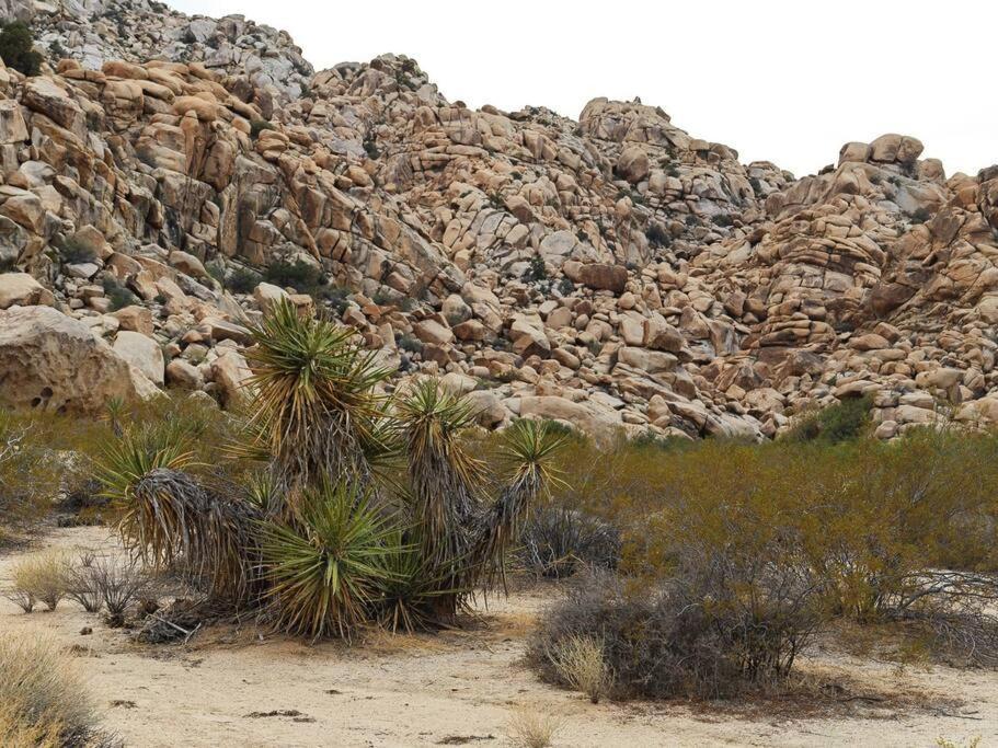 Panoramic Heaven - Luxury Designer Property W Spa Joshua Tree Exterior photo