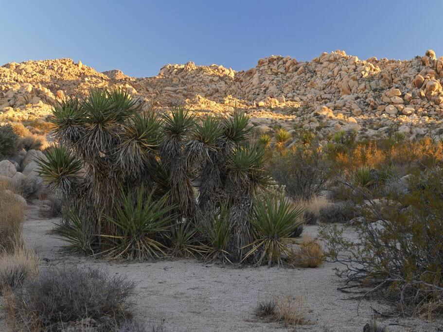 Panoramic Heaven - Luxury Designer Property W Spa Joshua Tree Exterior photo